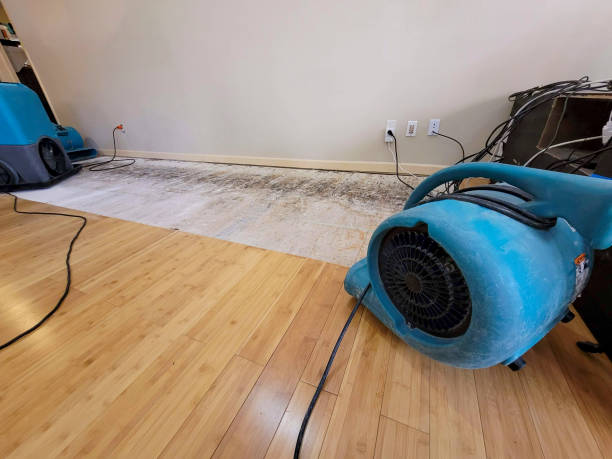 Professional Basement Flood Cleanup technician working in Valders, WI
